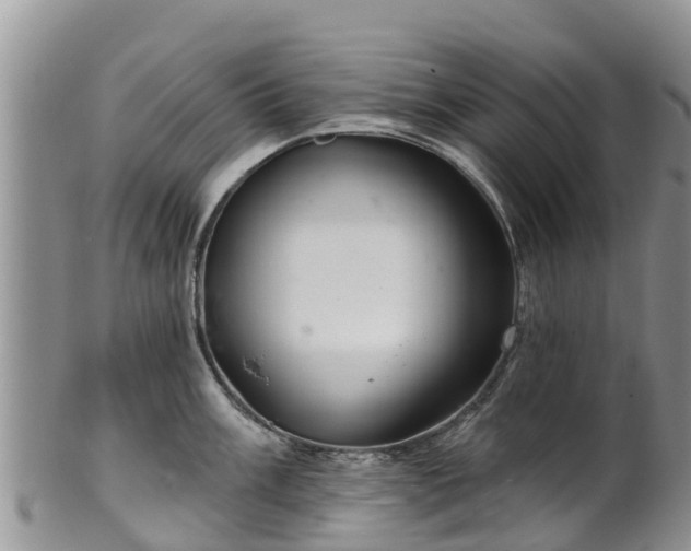 X0000102281003200808011446