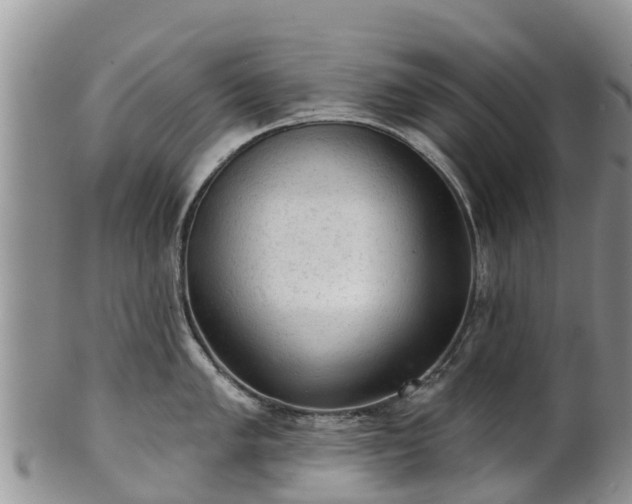 X0000102281005200808011446