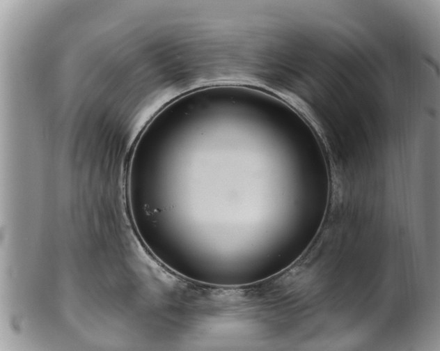 X0000102281006200808011446