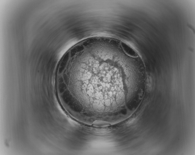 X0000102281007200808011446