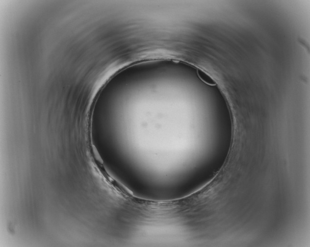 X0000102281008200808011446