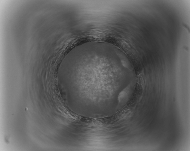 X0000102281009200808011445