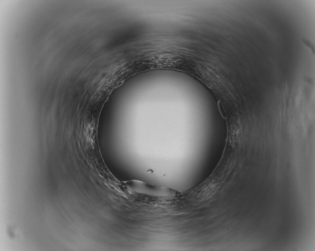 X0000102281010200808011445