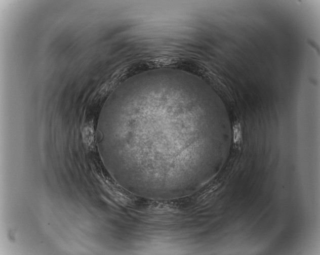 X0000102281011200808011445