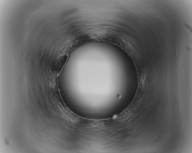 X0000102281012200808011445