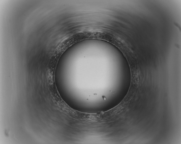 X0000102281013200808011445