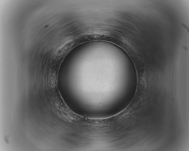 X0000102281014200808011445