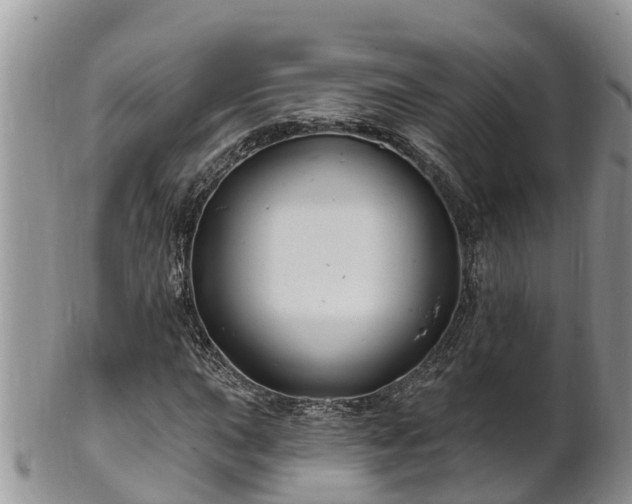 X0000102281015200808011445