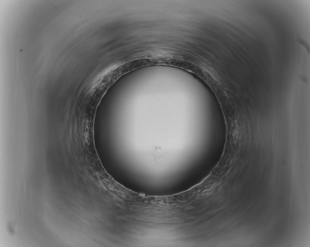 X0000102281016200808011445