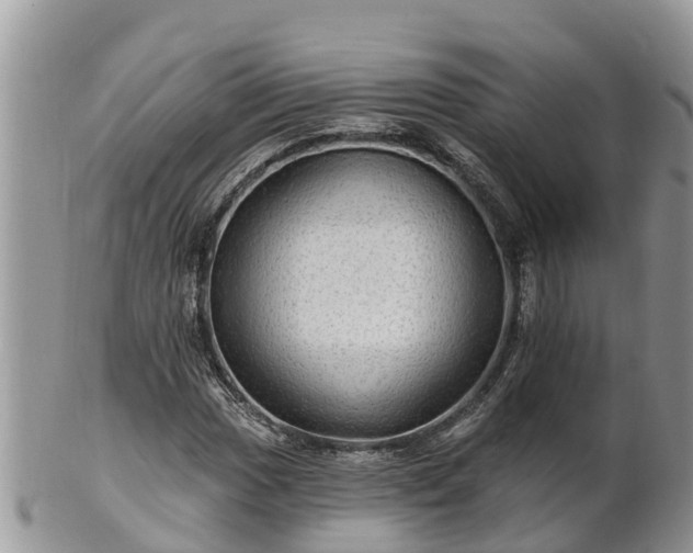 X0000102281017200808011445