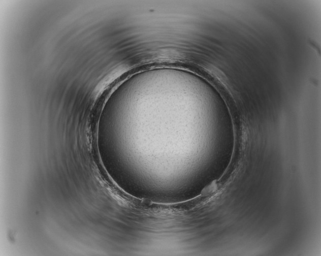 X0000102281018200808011445