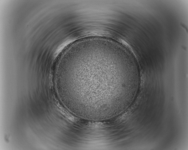 X0000102281019200808011445