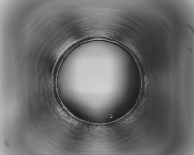 X0000102281020200808011445