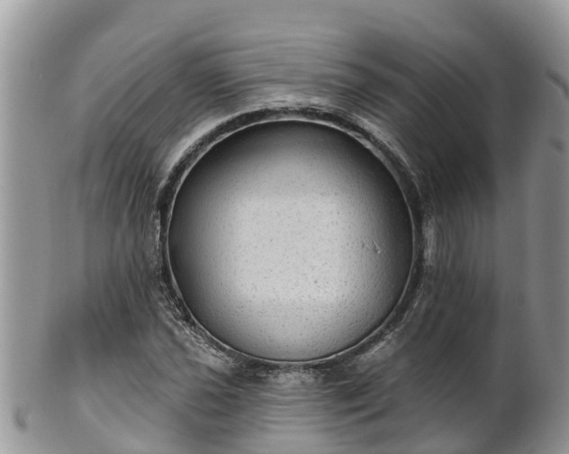 X0000102281021200808011445