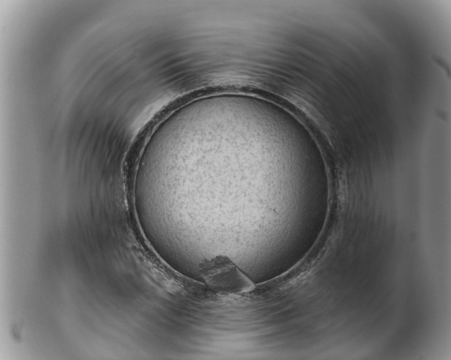 X0000102281022200808011445