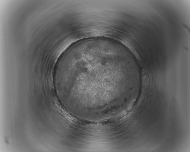 X0000102281023200808011445