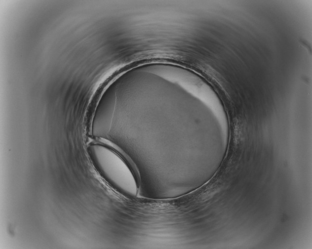 X0000102281024200808011445