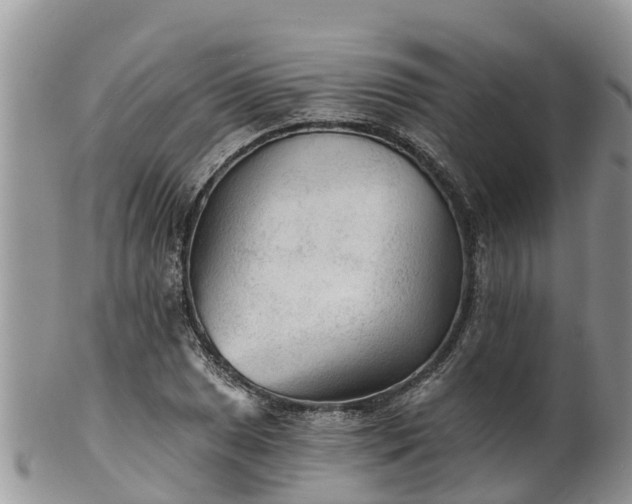 X0000102281025200808011445