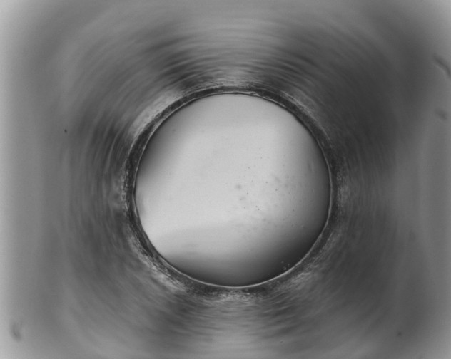 X0000102281026200808011445