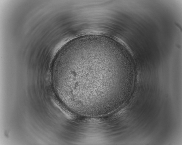 X0000102281027200808011445