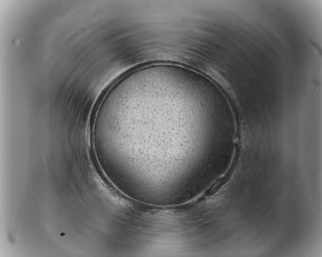 X0000102281028200808011445