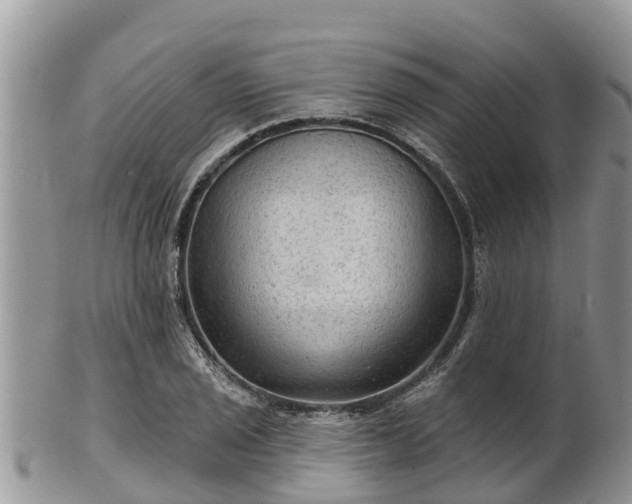 X0000102281029200808011445