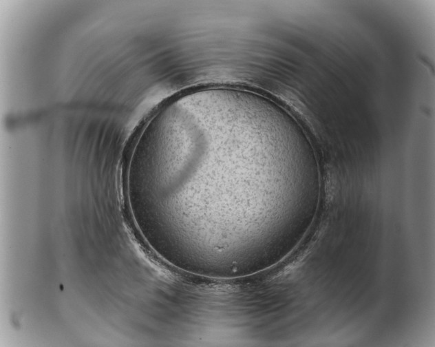 X0000102281030200808011445