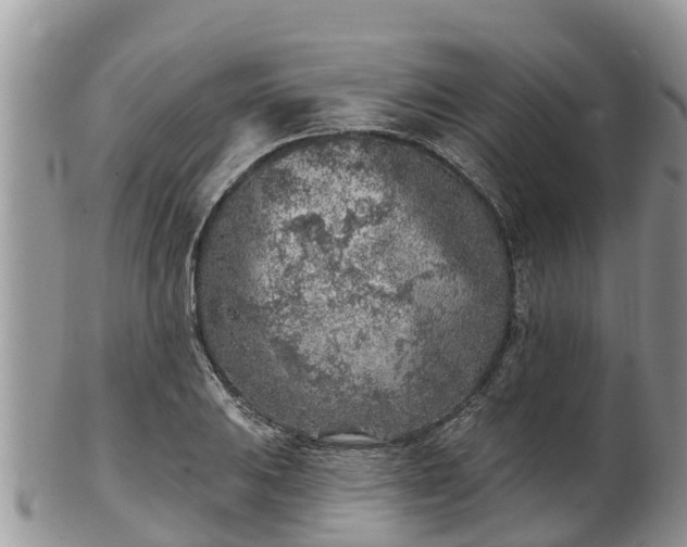 X0000102281031200808011445