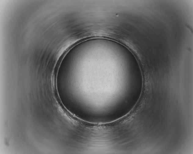 X0000102281032200808011445