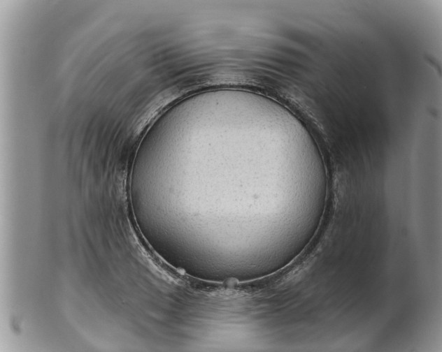 X0000102281033200808011445