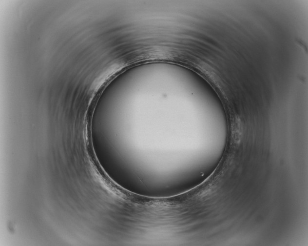 X0000102281034200808011445