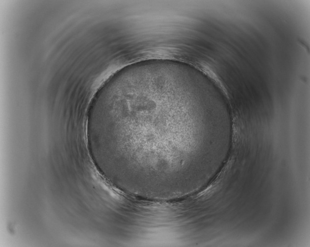 X0000102281035200808011445