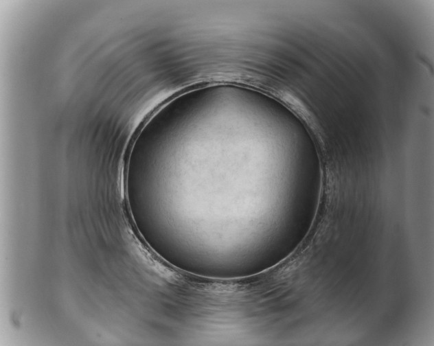 X0000102281036200808011445