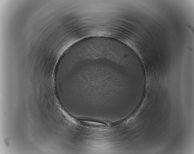 X0000102281037200808011445