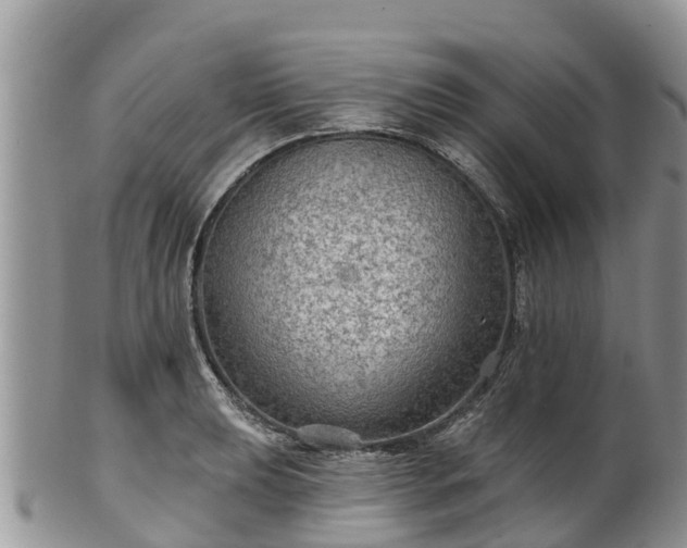 X0000102281039200808011445