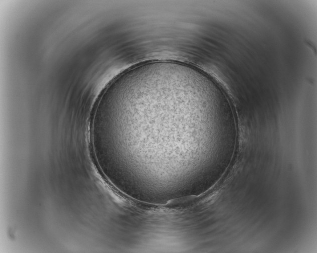 X0000102281040200808011445