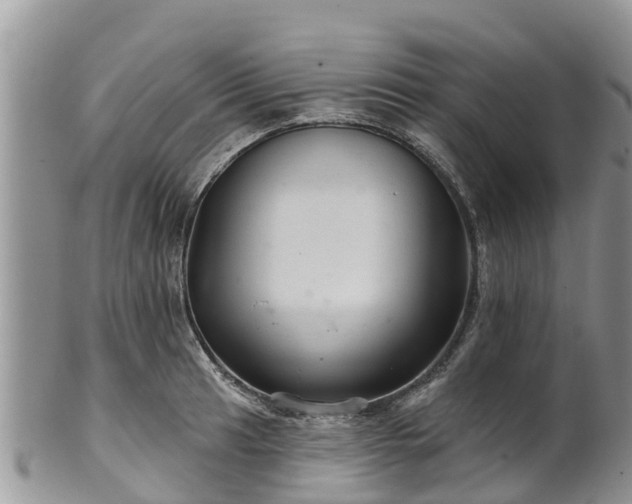 X0000102281041200808011445