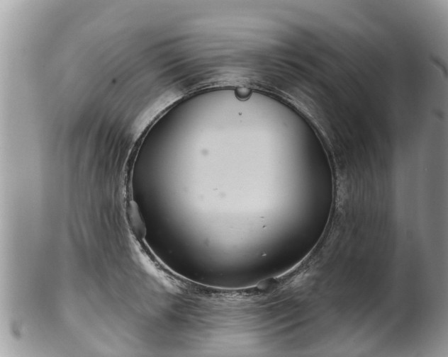 X0000102281042200808011445