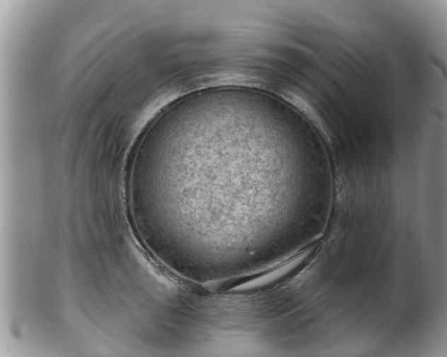 X0000102281043200808011446