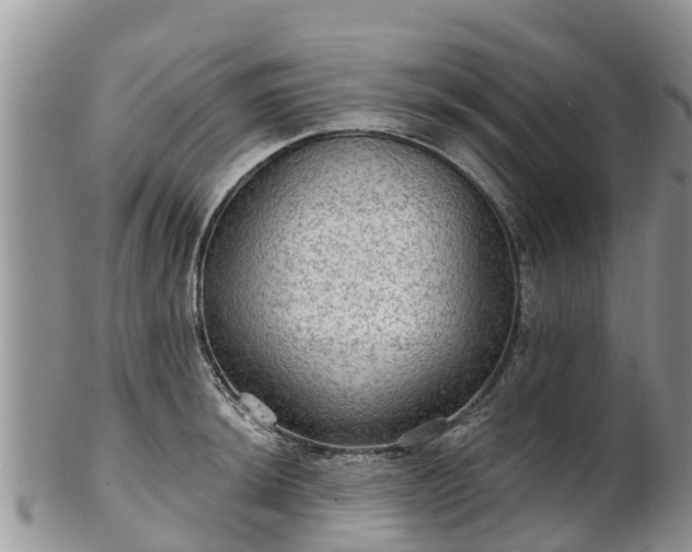 X0000102281044200808011446