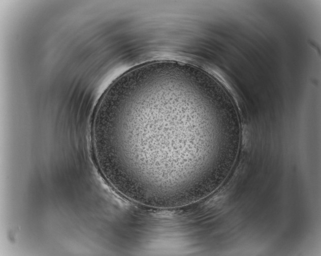 X0000102281048200808011446