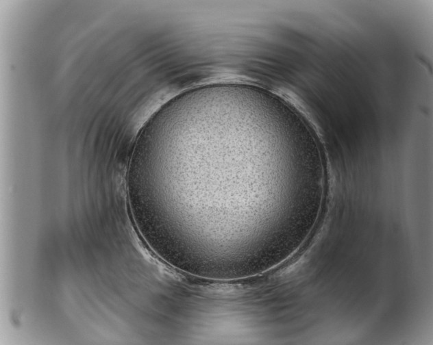 X0000102281049200808011446