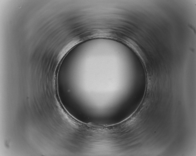 X0000102281050200808011446