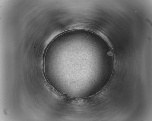 X0000102281051200808011446