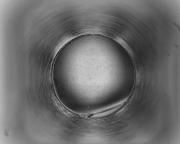 X0000102281052200808011446