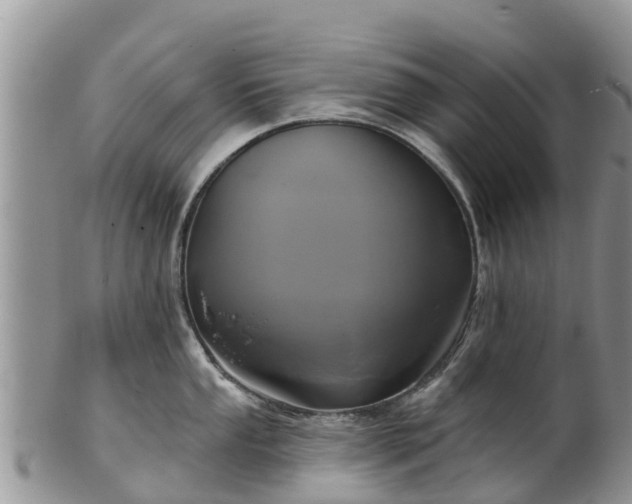 X0000102281053200808011446