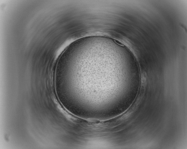 X0000102281054200808011446