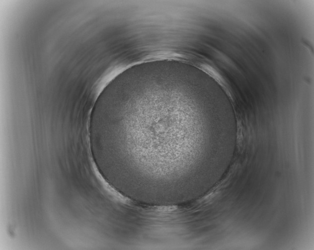 X0000102281055200808011446