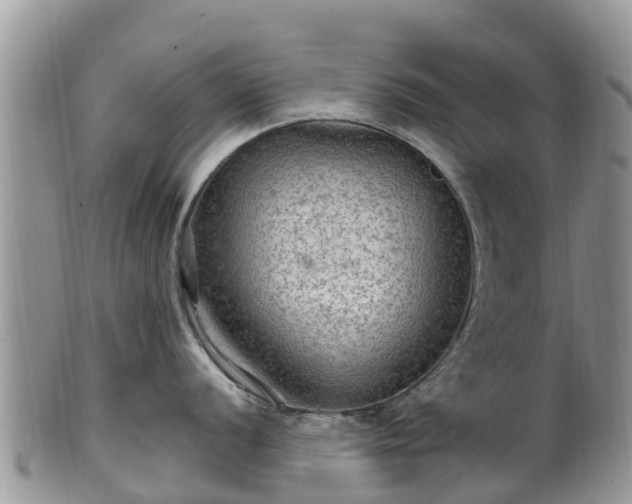 X0000102281056200808011446