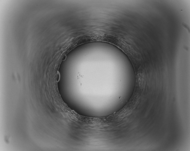 X0000102281057200808011445